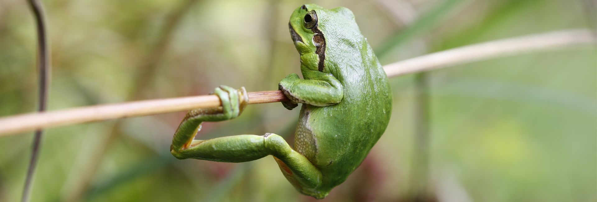 HT-Natuurfotografie-Slider-1